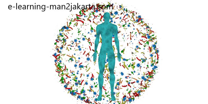 Apa Itu Microbiome dan Perannya