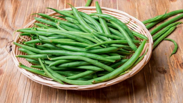 8 Manfaat Kesehatan Kacang Buncis Untuk Tubuh